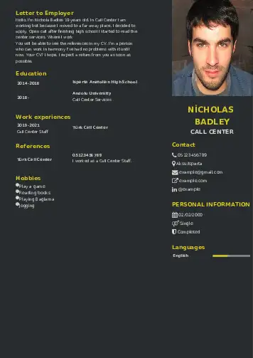 Call Center resume example